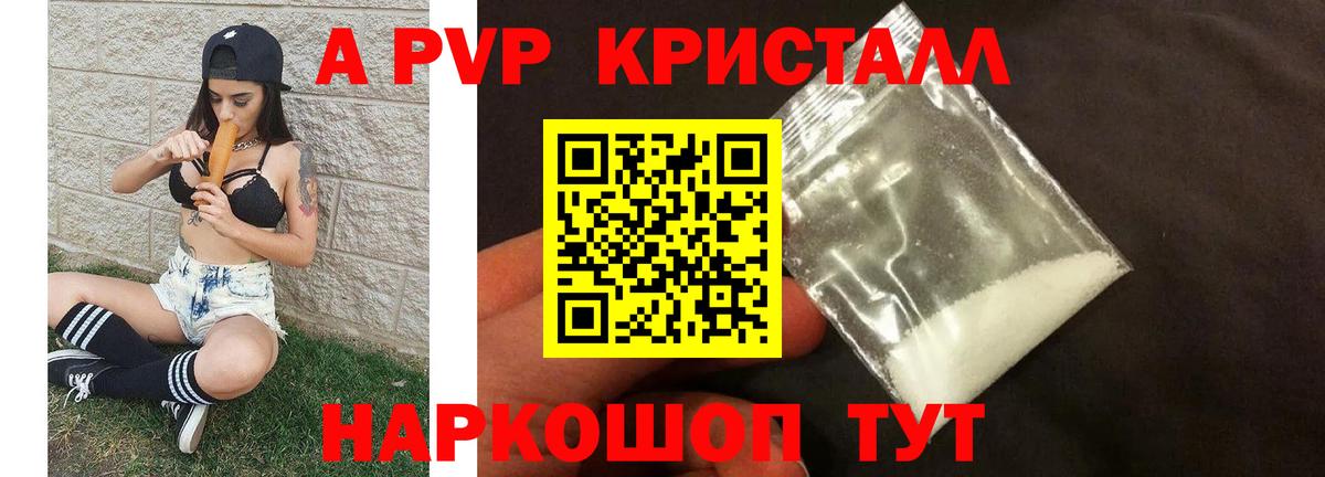 A-PVP СК Балтийск