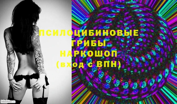 стафф Усинск