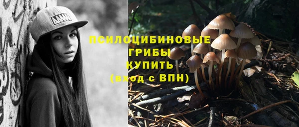 2c-b Усолье-Сибирское