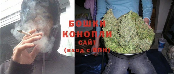 эйфоретик Каменногорск