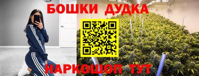 альфа пвп Кингисепп