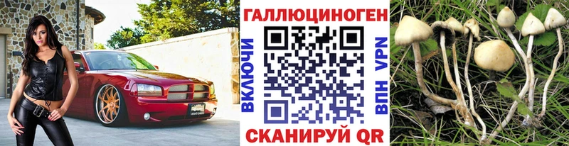 площадка Telegram  Балтийск  Псилоцибиновые грибы ЛСД 