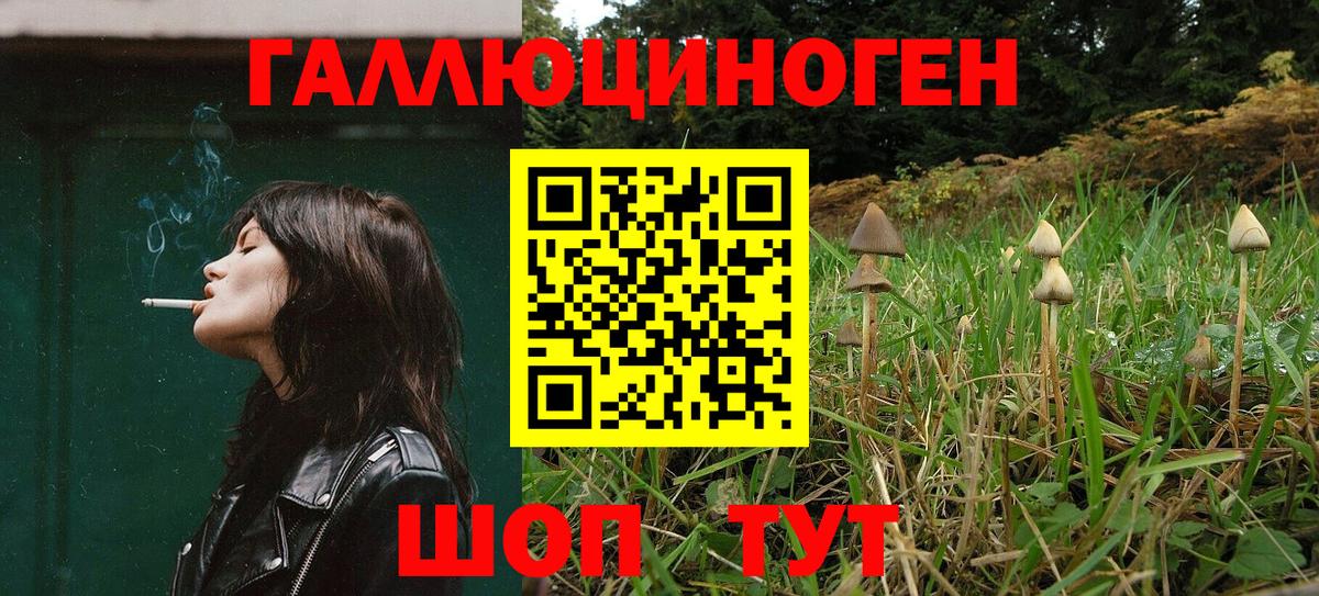 Галлюциногенные грибы Cubensis Балтийск