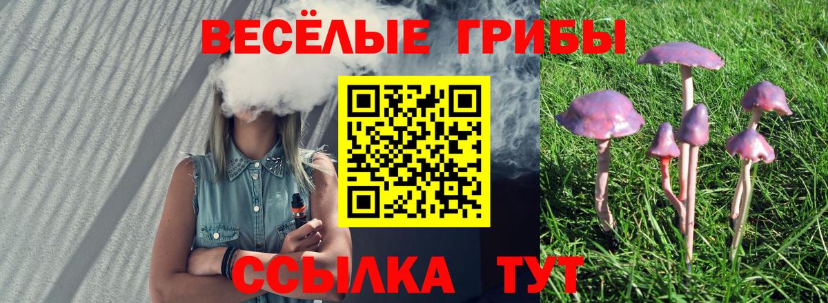где купить наркоту  Псилоцибиновые грибы ЛСД  Вход с VPN  Балтийск 