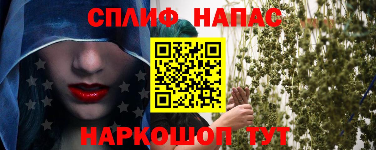 Каннабис план Балтийск